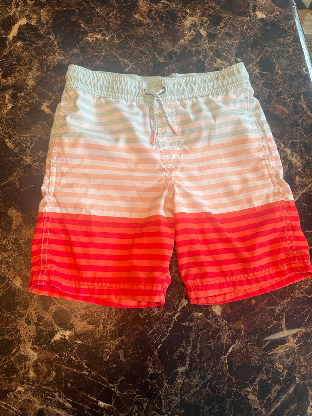 Cat & Jack Boy’s Multicolored Striped Drawstring Swim Trunks Size M (8/10)